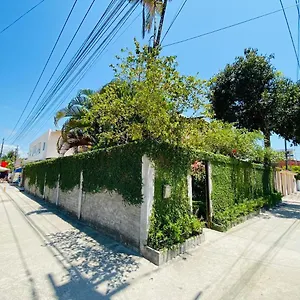 ô Albergue